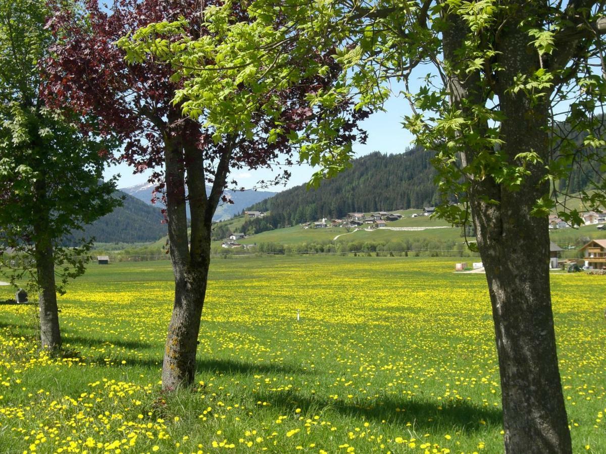 Faltnerhof Planca di Sopra Εξωτερικό φωτογραφία